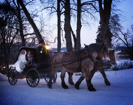 Vinterbröllop med häst och vagn